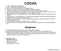 Картки Домана Дерева з фактами 20 карток Ламінація на українській мові, фото 4