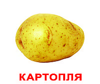 Картки Домана Овочі з фактами 20 карток Ламінація на українській мові, фото 3