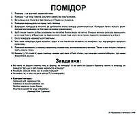 Картки Домана Овочі з фактами 20 карток Ламінація на українській мові, фото 4