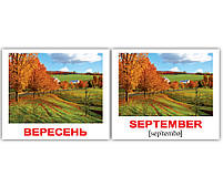Картки Домана Пори року/Seasons 40 міні-карток укр-англ, фото 4