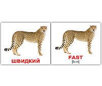 Картки Домана Прикметники/Adjectives 40 Міні-карток, фото 3