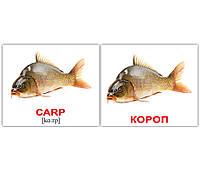 Картки Домана Водяні тварини/Water animals 40 міні-карток, фото 2