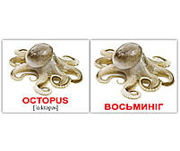 Картки Домана Водяні тварини/Water animals 40 міні-карток, фото 3