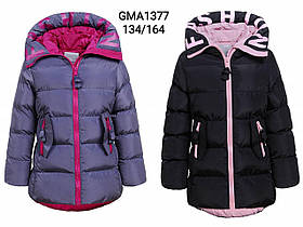 Куртки для дівчаток оптом, Glo-Story, розміри 134-164, арт. Gma-1377