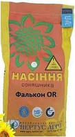 Насіння соняшника НС ФАЛКОН, Сербія