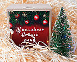 Подарунок новорічний "Щастя приносить котик": новорічне печиво з передбаченнями, набір чаю і котик-талісман, фото 5