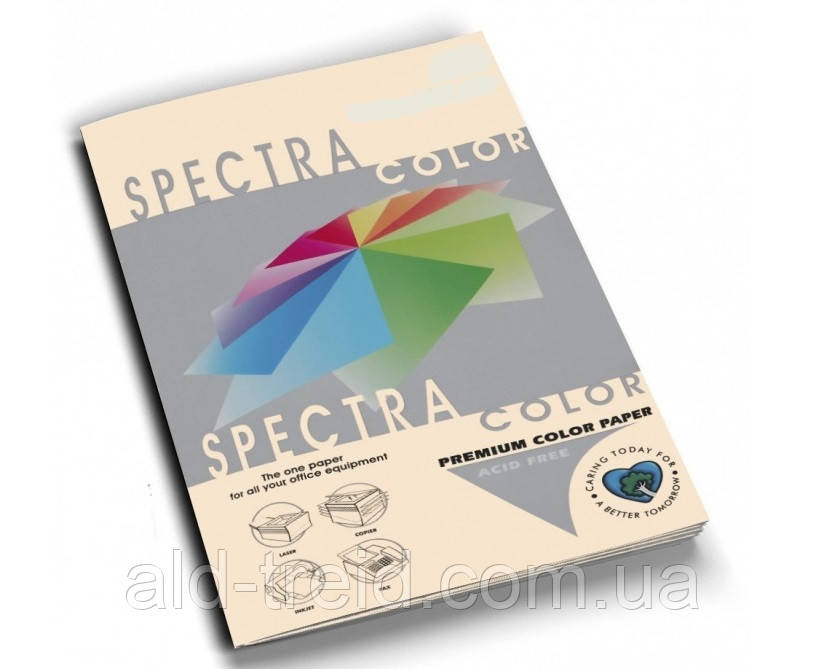 Папір (картон) кольоровий Spectra Color А3 160 г/м2 IT100 слонова кістка