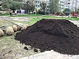 Чорнем Київ, торф, фото 8