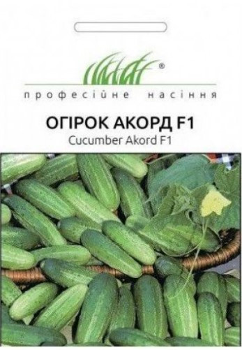 Огірок Акорд F1 1г (Професійне насіння)