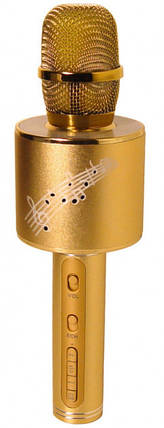 Караоке-мікрофон портативний HLV DM YS-66 5548 Gold, фото 1