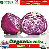 Насіння, капуста червоношкіряна середньоспечена КІОТО F1 (KITANO SEEDS, Нідерланди), проф.пакет 2500 насіння, фото 3