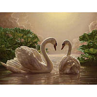 Картина за номерами «Пара Лебедів» ТМ ідейка арт. КНО301