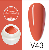 Гель-краска Venalisa Color Mud Gel, 5г, №43 (кирпичный)