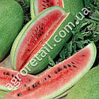 Кавун Чарльстон грей 1 г Gl Seeds, фото 4