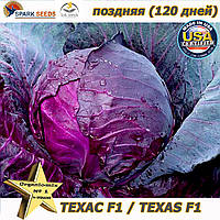 Семена, капуста краснокочанная поздняя ТЕХАС F1 / TEXAS F1, ТМ Lark Seeds (США), 2500 семян