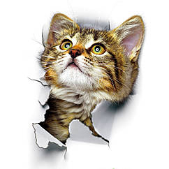 Інтер'єрна наклейка 3D Кіт (25х17см)