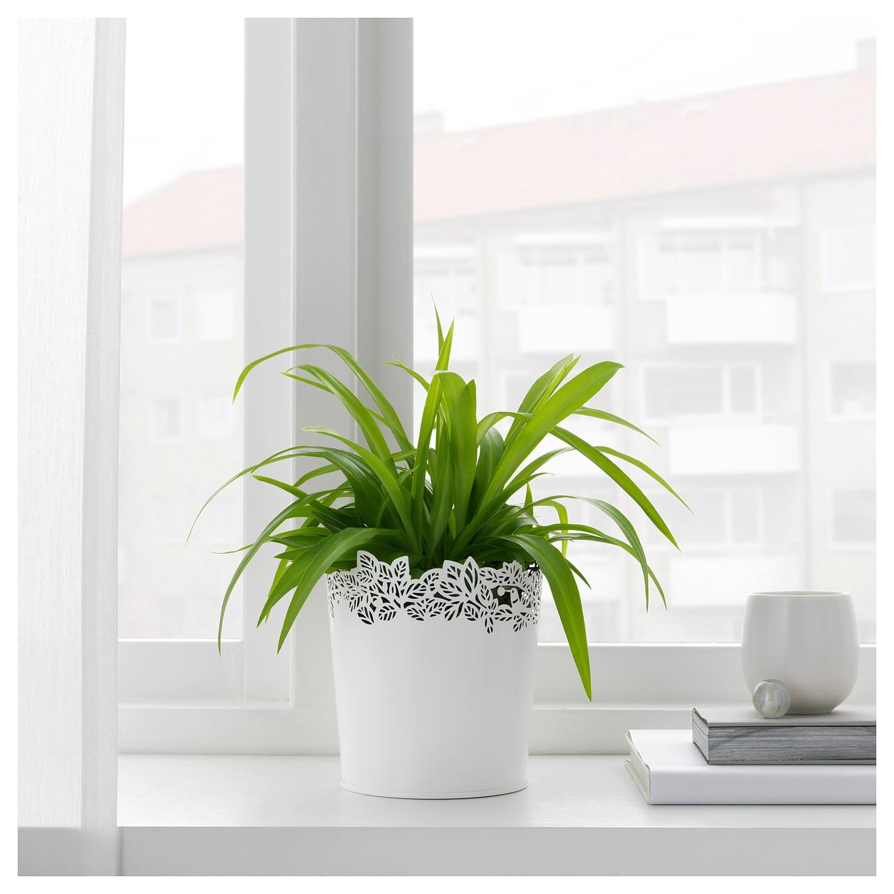 Купить IKEA Кашпо SAMVERKA (ИКЕА САМВЕРКА) 303.887.40, цена 104.72 грн ...