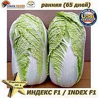 Капуста пекінська ІНДЕКС F1 / INDEX F1 від ТМ Lark Seeds (США), 2500 насіння