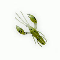 Fanatik RAIDER 2.2"