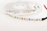 Світлодіодна стрічка ESTAR SMD 3528/120 (IP20) premium 12 V холодно-біла (9000-10000К), фото 3