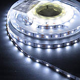 Світлодіодна стрічка ESTAR SMD 3528/120 (IP20) premium 12 V холодно-біла (9000-10000К), фото 4
