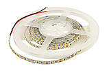 Світлодіодна стрічка ESTAR SMD 3528/120 (IP20) premium 12V нейтральна біла (3800-4300К), фото 4