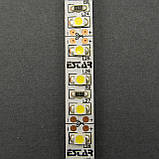 Світлодіодна стрічка ESTAR SMD 3528/120 (IP20) premium 12V нейтральна біла (3800-4300К), фото 5