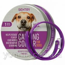 Sentry (Сентри) Good Behavior СЕНТРИ ГУД БЕХАЙВИОР ХОРОШУ ПОВЕДІНКУ нашийник для собак, з феромонами, фото 1