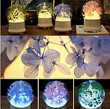 Романтический арома-диффузор из коллекции Природный дар, фото 5