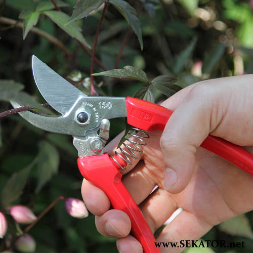 Купить Секатор садовый ARS / АРС 130DX (Япония), цена 1140 ₴ — Prom.ua ...
