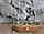 Миска-годівниця металева by smartwood для кішок котів кошенят XS - 2 миски (200 мл), фото 6