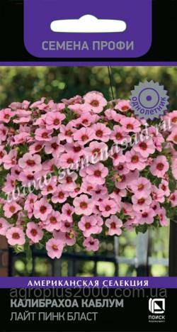 Насіння Калібрахоа Каблум F1 Лайт Пінк Бласт 5 драже Pan American Пошук