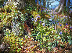 Пазли Лісова поляна на 2000 елементів