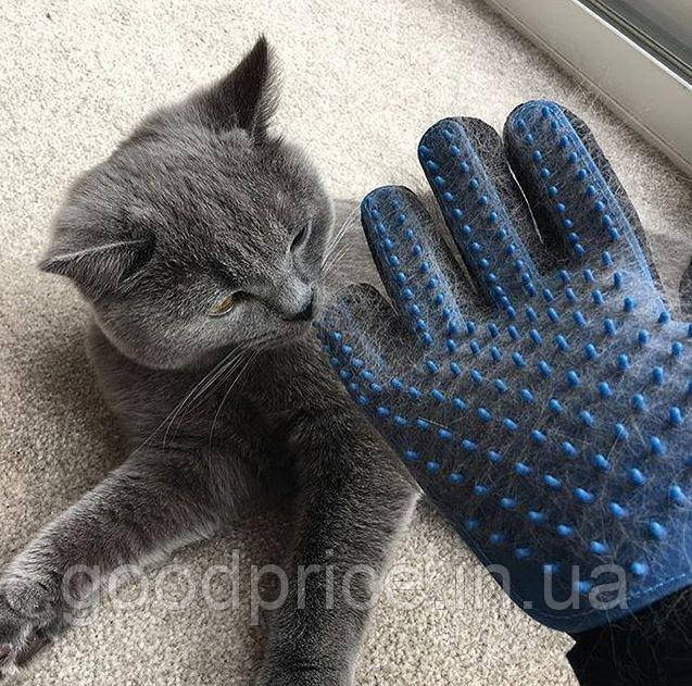 Рукавичка для ВИЧІСУВАННЯ ШЕРТИ домашніх тварин True Touch Glove