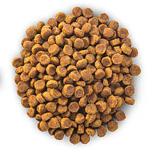 Сухий корм для котів