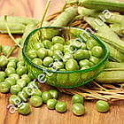 Горох Фаворит 50 г Gl Seeds, фото 2