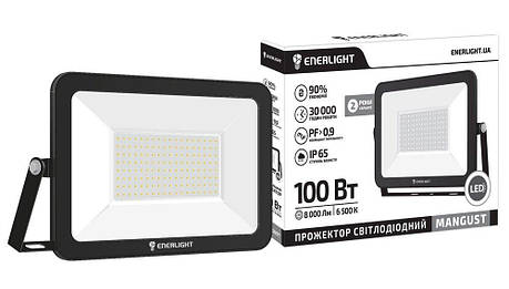 LED прожектор Enerlight MANGUST 100W 6500K IP65, фото 2