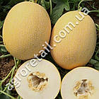 Диня Дідона 2 г Gl Seeds, фото 3
