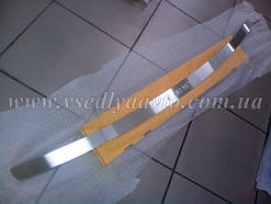 Накладка на бампер Ford FIESTA VI 5/3-дверцята з 2002-2008 рр. (NataNiko)