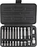 Набір біт Spline Richmann 22 шт сталь S2 М4-М18 (C6938), фото 2