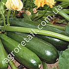 Кабачок цукіні Скворушка 15 г Gl Seeds, фото 2