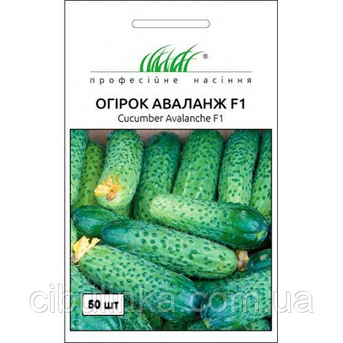 Огірок Аваланж F1 NongWoo Bio 50 шт., фото 1