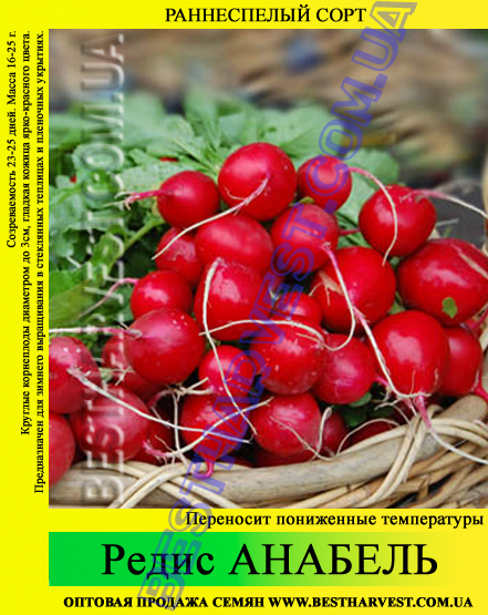 Насіння редиски Анабель 1 кг