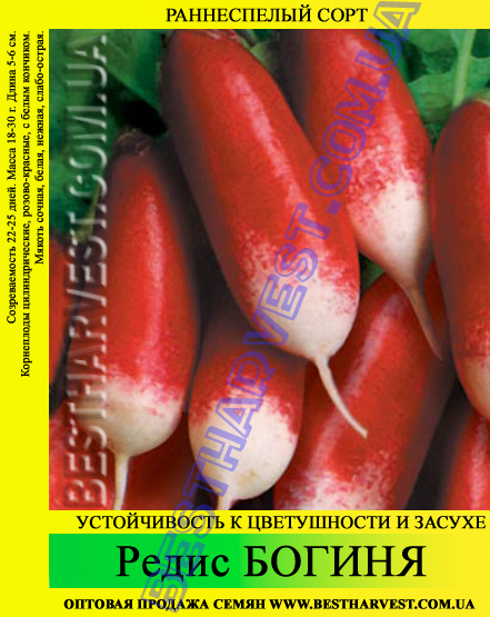 Насіння редиски Богиня 1 кг