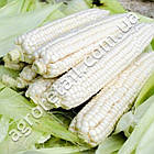 Кукурудза Снігова королева F1 20 г Gl Seeds, фото 4