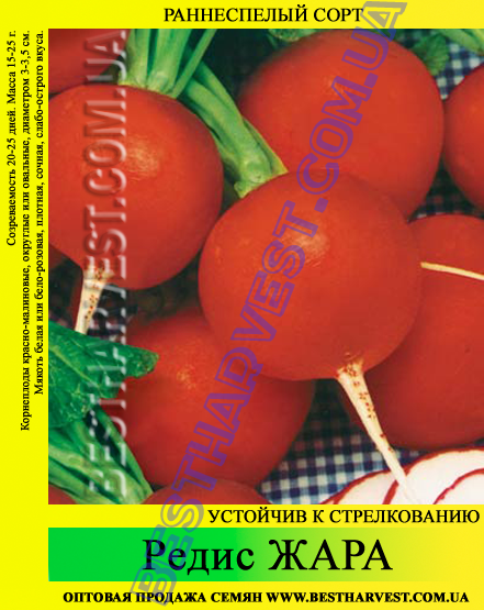 Насіння редиски Спека 1 кг