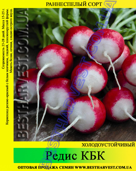 Насіння редиски КБК 1 кг