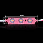 Світлодіодний модуль BRT XG194 5630-3 led W 1,5W PINK, 12 В, IP65 рожевий із лінзою напівсфера, фото 3