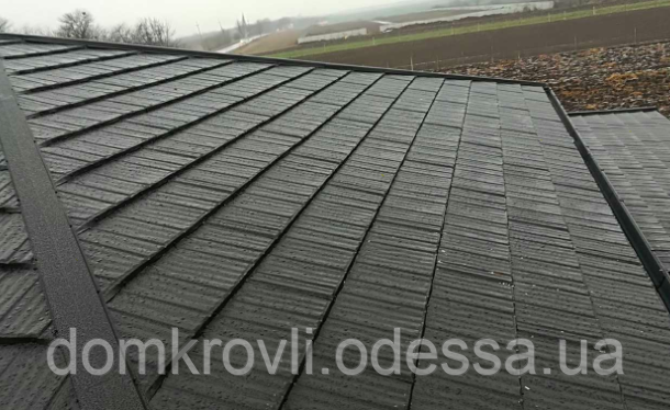Модульна металочерепиця Novatik Wood чорний