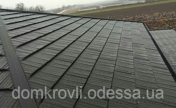 Модульна металочерепиця Novatik Wood чорний, фото 1